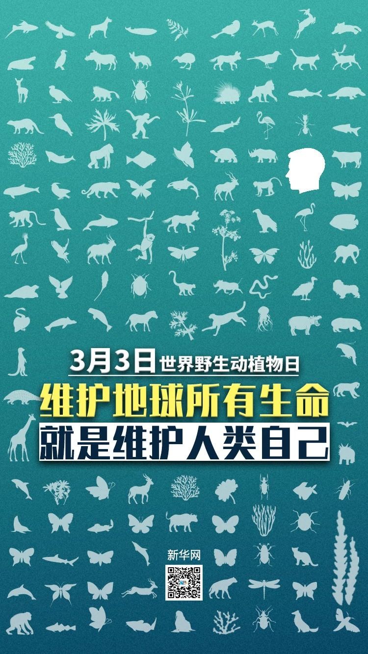 这是今天最该有的热搜！